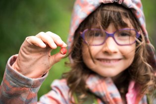 Výlet ve znamení lesních jahůdek