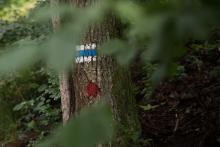 Po modré tam i zpět