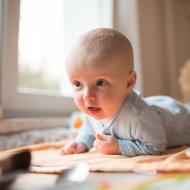 Vikoušek (se) pase rád