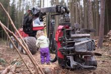 Oblíbený stroj našich dětí: harvestor - ten který mezi snídaní a svačinou vykácí půlku lesa