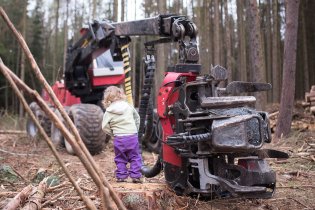 Oblíbený stroj našich dětí: harvestor - ten který mezi snídaní a svačinou vykácí půlku lesa
