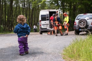 Až budu velký, stanu se lesním dělníkem