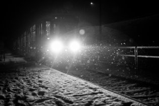 Cesta do Lidlu jako největší dobrodružství Tomovy poklidné soboty