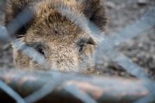 Mezi čtyřma očima