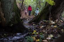 Distanční výuka Verunčina kroužku Vrabčata vytáhla celou rodinu na podzimní vycházku do lesa