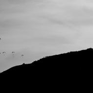 Kluzáci - nakonec jsme se hecli a šli se podívat až na vrchol, kde startovali