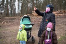 Vyhlídka na kraji našeho oblíbeného karanténního lesa