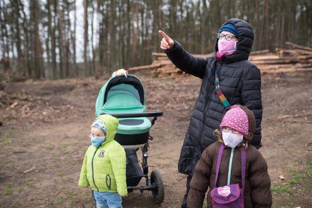 Vyhlídka na kraji našeho oblíbeného karanténního lesa
