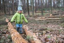 Přírodní překážková dráha