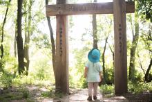 Pohádkový potok - moc pěkná dětská naučná stezka