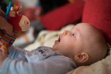 A Tebe, krávo, taky sežeru