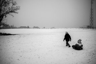 Verunce se role tažného koníčka docela zamlouvala