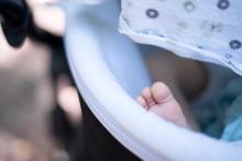 Viky se nerozvážně vystavuje riziku, že ho kousne daněk do palce