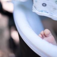 Viky se nerozvážně vystavuje riziku, že ho kousne daněk do palce