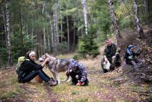 Velká výprava do bájné houbařské lokality nad tratí u Mstišova