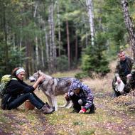 Velká výprava do bájné houbařské lokality nad tratí u Mstišova