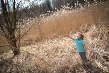 Radovánek a jeho nekonečné stéblo