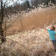 Radovánek a jeho nekonečné stéblo