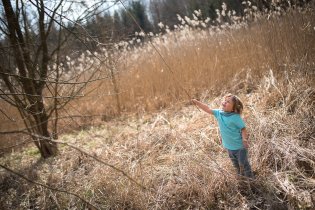 Radovánek a jeho nekonečné stéblo