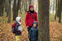 Gamebook mezi stromy, perfektní, Azriku z Bystroušky, smekáme a chceme další!