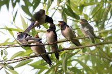 Vás je lepší fotit, než živit