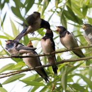 Vás je lepší fotit, než živit