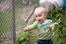 Vikoušku, jak dělá ovečka?