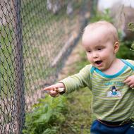 Vikoušku, jak dělá ovečka?