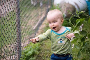 Vikoušku, jak dělá ovečka?
