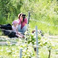 A bereme to vážně