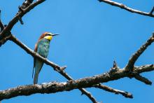 Vlhy se s ním pozorovaly opravdu skvěle