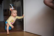 Něco mezi zebrou a jednorožcem