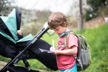 Radovánek hraje hmyzí bingo