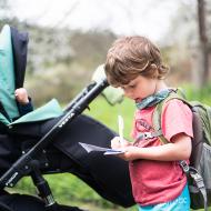 Radovánek hraje hmyzí bingo