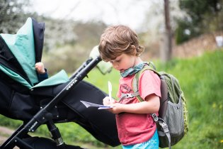 Radovánek hraje hmyzí bingo