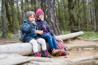 Svačina opět s výhledem , tentokrát na motorky