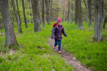 Objevili jsme pěšinku jako namalovanou