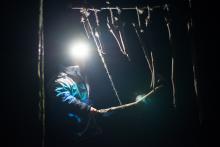 Večerní zvonkohraní