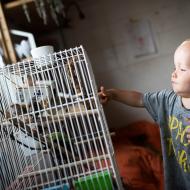 Viki by rád měl doma zebru, ale v nouzi prý postačí i zebřička (alespoň soudě podle toho, jak se mu na návštěvě zalíbily)