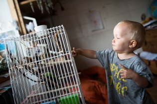 Viki by rád měl doma zebru, ale v nouzi prý postačí i zebřička (alespoň soudě podle toho, jak se mu na návštěvě zalíbily)