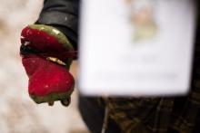 A nějaké ty zlaté valouny jsme si skutečně vyrýžovali!