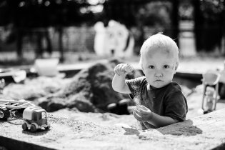 Švihák pískovišťový