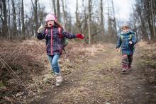 Cesty dolů bývají oblíbené