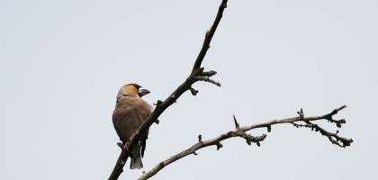 2. víkend v červenci 2021