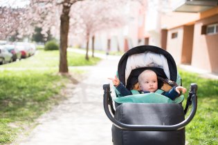 Sakury už nám krásně kvetou!