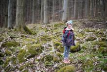 Terén v okolí Sýkoře je místy poněkud kamenitý - asi tu řádili zemní obři.