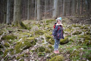 Terén v okolí Sýkoře je místy poněkud kamenitý - asi tu řádili zemní obři.