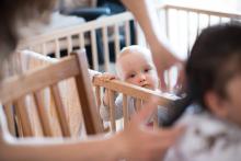 Vikoušek sleduje stříhání Radovánka s obezřetností a přemýšlí, kdy se ho podobná procedura bude taky týkat