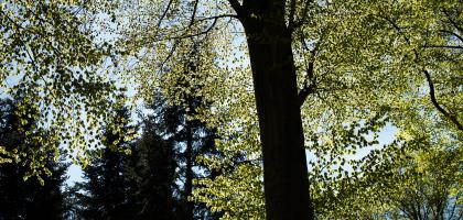 2. víkend v květnu 2021