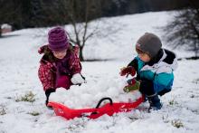 Nejelo to nijak závratně, mnohem lépe boby posloužily jako základna dělostřelecké jednotky